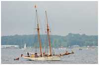 Neufundland-Schoner Vanadis