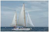 Seekreuzer Greif von Ueckermünde