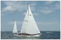 Kreuzeryacht 11 KR Taifun