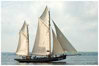 Finkenwerder Fischkutter Präsident Freiherr von Maltzahn