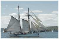 Haikutter Fiddlers Green