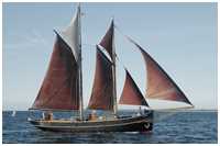 Haikutter Terje Viken