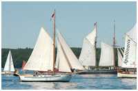 Danske Jagt Solglimt