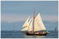 Jagt Hoppet av Brantevik