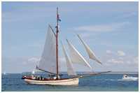 Pommersche Jagt Hoffnung