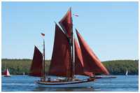 Gaffelketsch Alvekongen