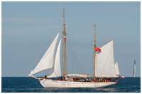 Gaffelketsch General Zaruski