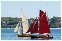 Gaffelkutter Frillen