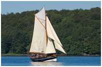 Krabbenkutter Mytilus