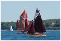 Gaffelkutter Sionnachan