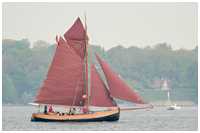 Gaffelkutter Aurora von Altona