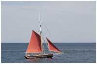 Cornish Crabber Betty