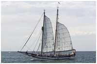 Robbenfänger Arny Maud