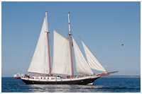 Gaffelschoner Amazone