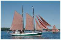 Lofotenschoner Jachara