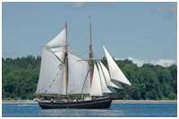 Jagtschoner Brita Leth