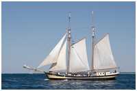 Gaffelschoner Zuiderzee