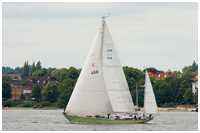 Bermudayawl Germania VI