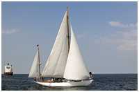 Rennyacht Peter von Seestermühe