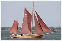 Zeesboot Borsgrieper (FZ 5)