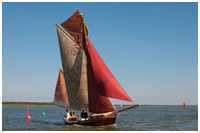 Zeesboot Swantewit (FZ 31)