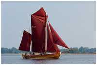 Zeesboot Stine (FZ 67)