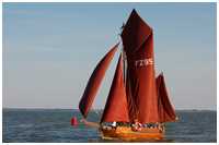 Zeesboot Traudi 2 (FZ 95)