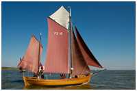 Zeesboot Blondine (FZ 16)