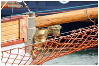 Gaffelketsch Bryza H