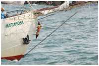 Bermudaschoner Mariarosa