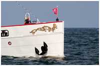 Seitenraddampfer Freya