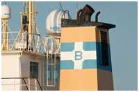 Stückgutfrachter Trenden