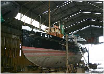 Dampfschlepper Tiger