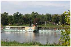 Seitenraddampfer Krippen (Bild: Michael Prewitz)