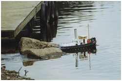 Bilder Dampfschlepper Albert 1