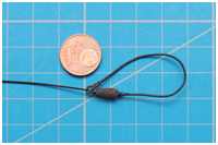 Stagmaus der Stengestage