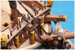 Großstagkragen über den Ohrhölzern