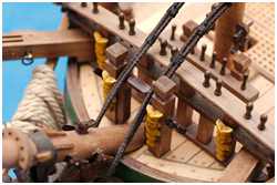 Großstagkragen über den Ohrhölzern