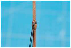 Wanten am Sprietmast