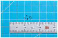 Bolzen der Scharnierb&auml;nder