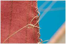 Bulinsprute mit Palstek am Legel angebunden