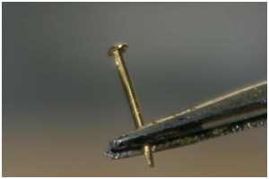 Nietimitationen bei kleinen Ma&szlig;st&auml;ben