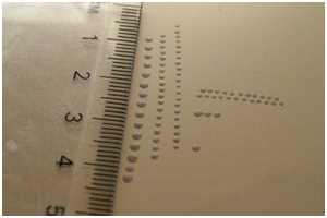 Bild: Dietmar Schubert