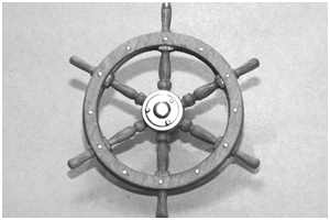 Steuerrad - Profi-Variante