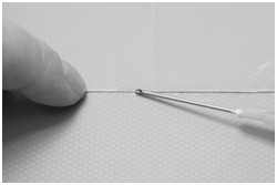 Imitation von Schwei&szlig;n&auml;hten