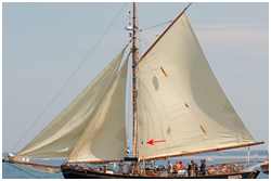 das gefiertes Backstag, h&auml;ngt schlaff herunter