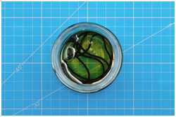 Seil in Firnis gelegt