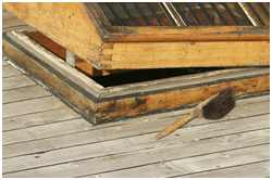 Galeasse Grethe Witting