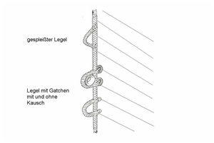 Legel binden (Bild: Wikipedia (gemeinfrei))
