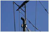 Biegen von Messingrohren